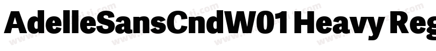 AdelleSansCndW01 Heavy Regular字体转换